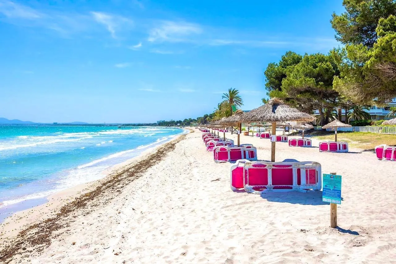 Apartmán Casa Caty Con Piscina,A 5 Minutos De La Playa Alcúdia Španělsko